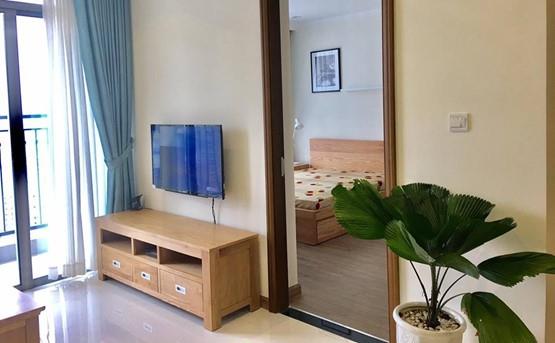 apartment for rent in binh thanh district BT105L5723 (6)